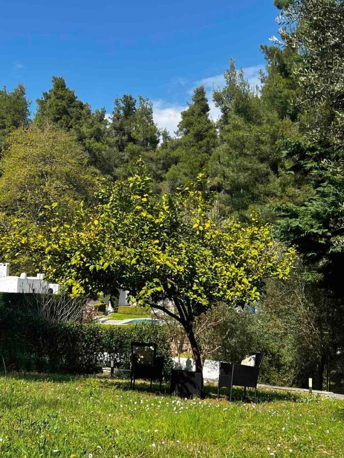 Sani Garden House Villa Luaran gambar